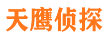 铁锋侦探